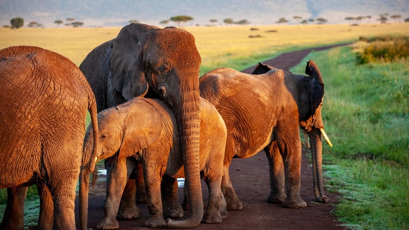 Kruger National Park, South Africa